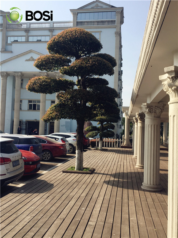 博思百校联盟活动丨博思与武昌理工学院(图3)